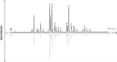 Similar Is Not the Same – Mate Recognition in a Parasitoid Wasp